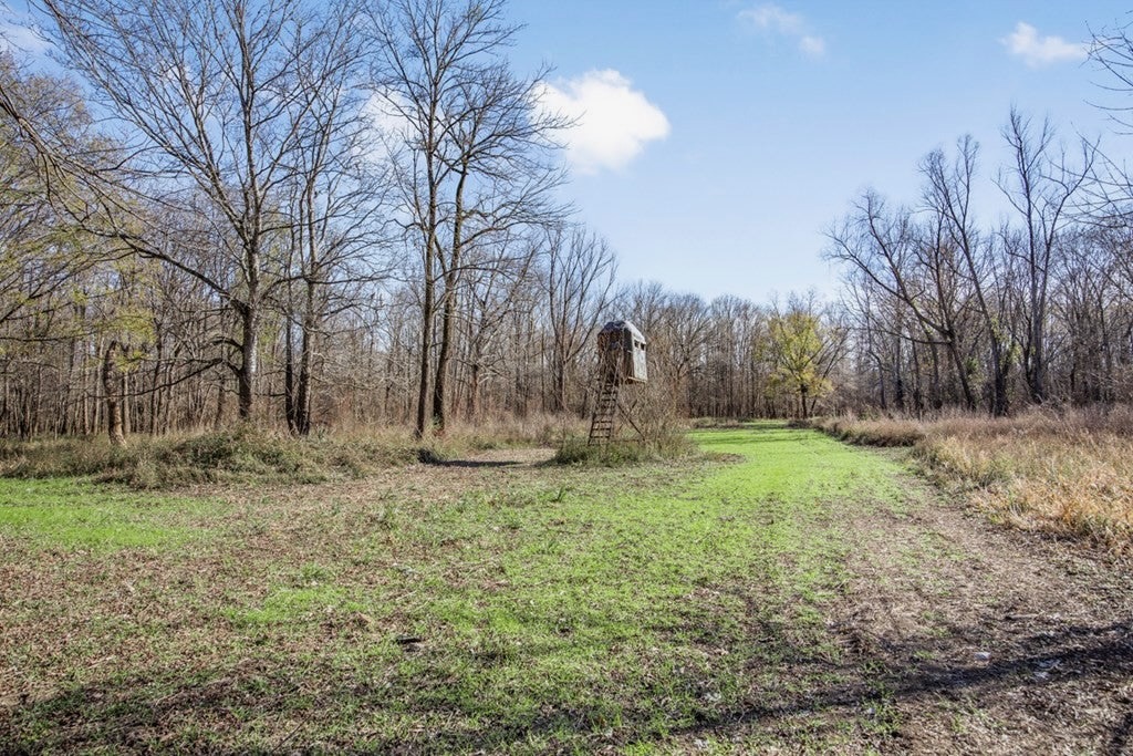 Rodney MS Hunting Land with Tiny Home & Lodge Potential