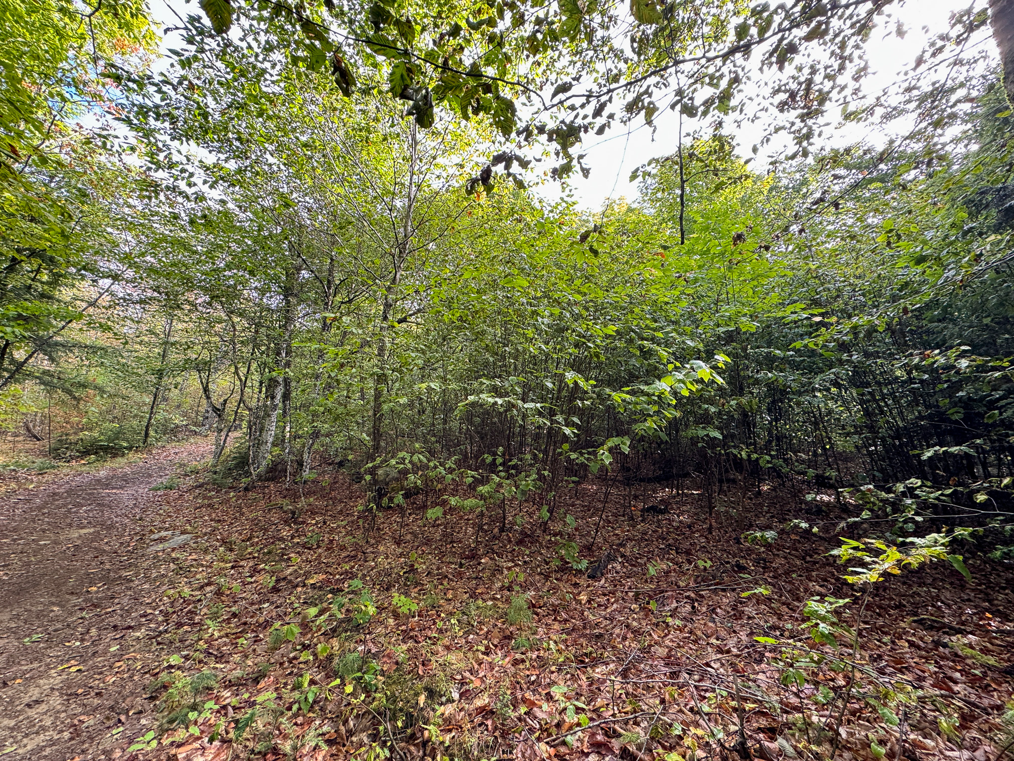 20 Acres with Katahdin Views – Springfield, Maine