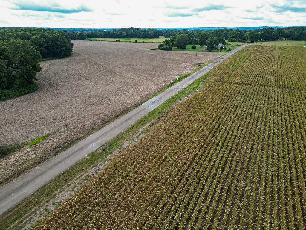 Tchula MS Delta 97 Acres