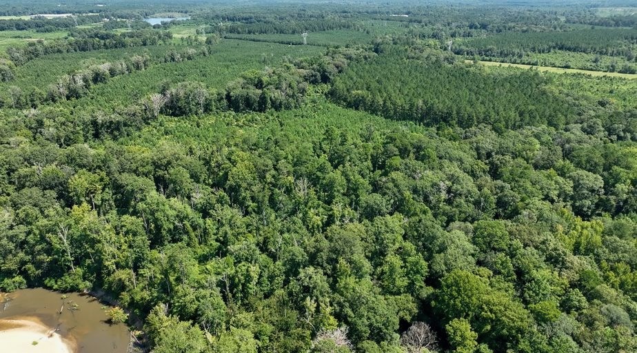 345+- Acres on Bogue Chitto River Summit MS