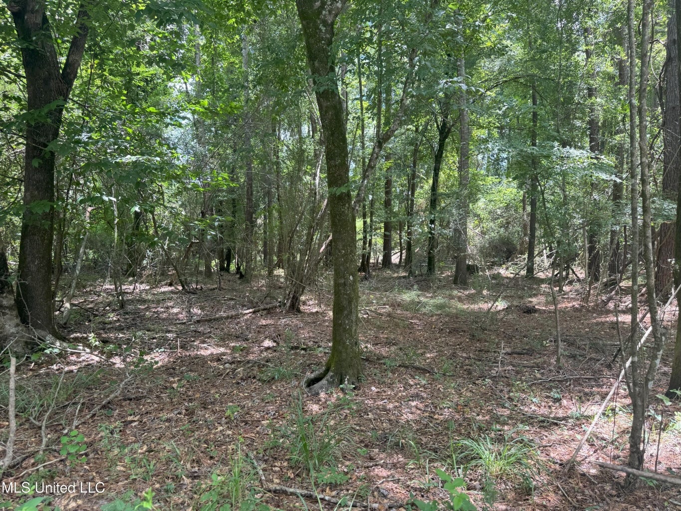 148 Acre Timberland Hunting Homesite Lincoln County, MS