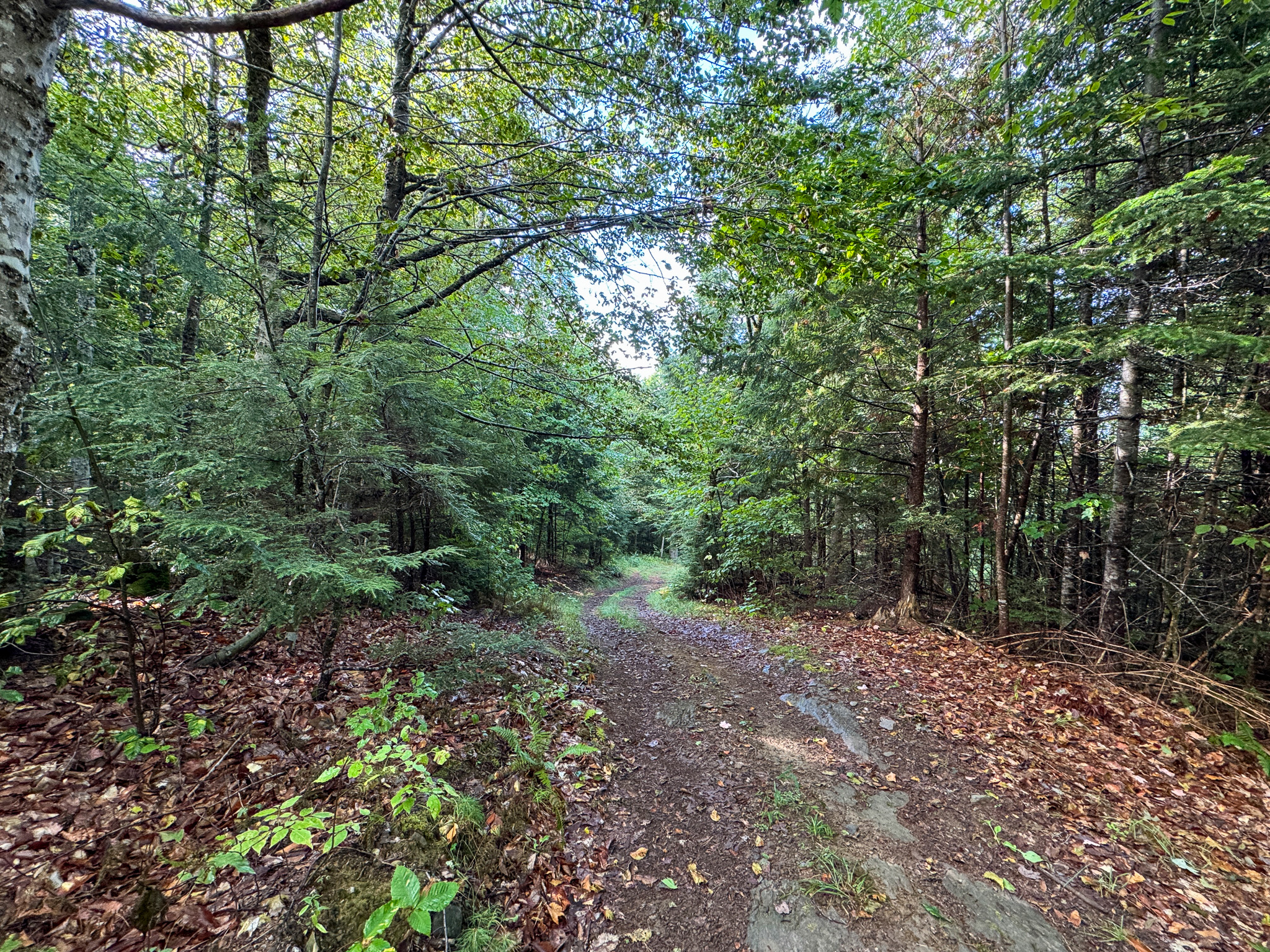 20 Acres with Katahdin Views – Springfield, Maine