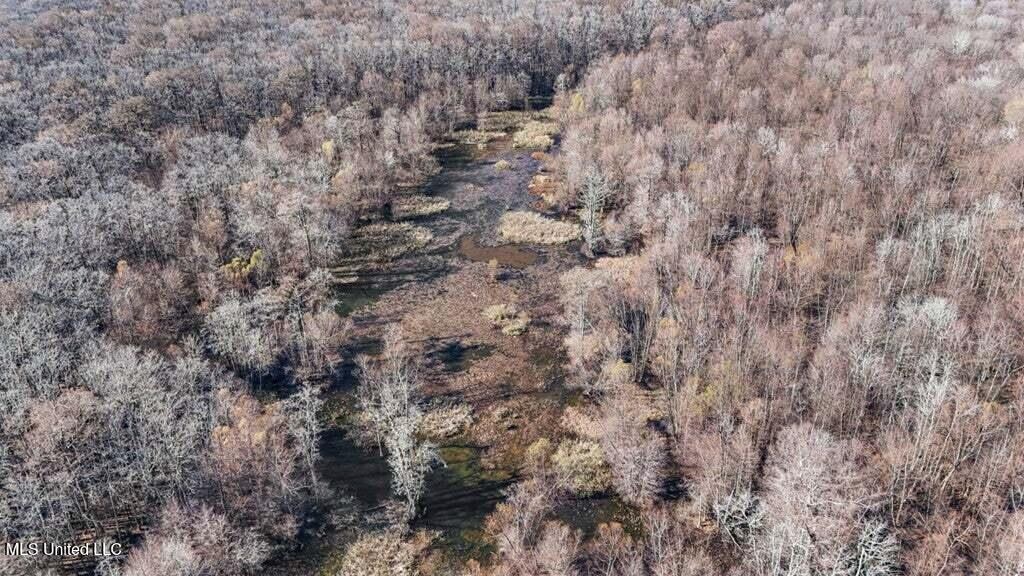 Final Flyway – Jefferson County MS Duck Hunting Land