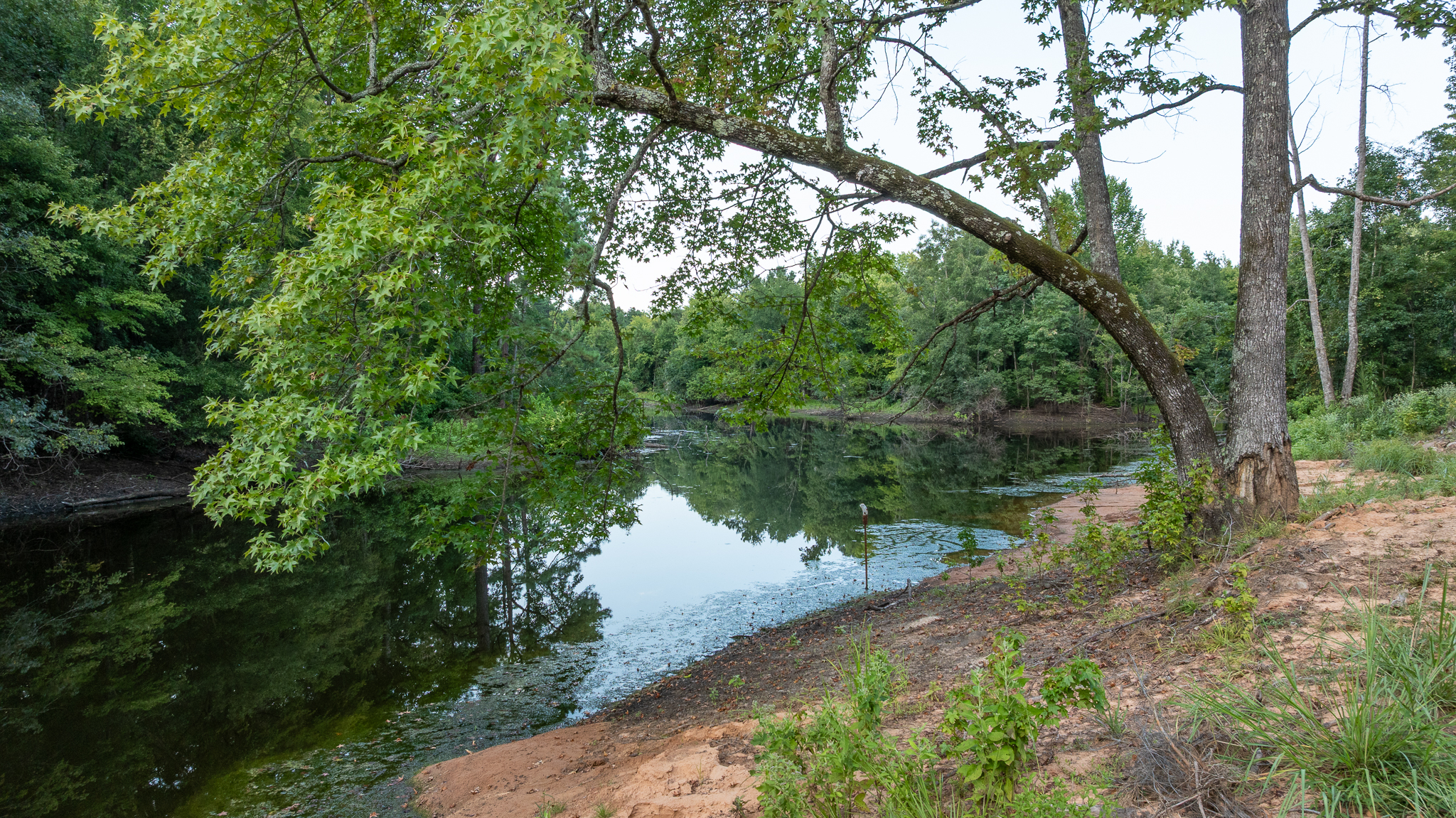 Premier Dekalb Texas Hunting Property with Red River Frontage