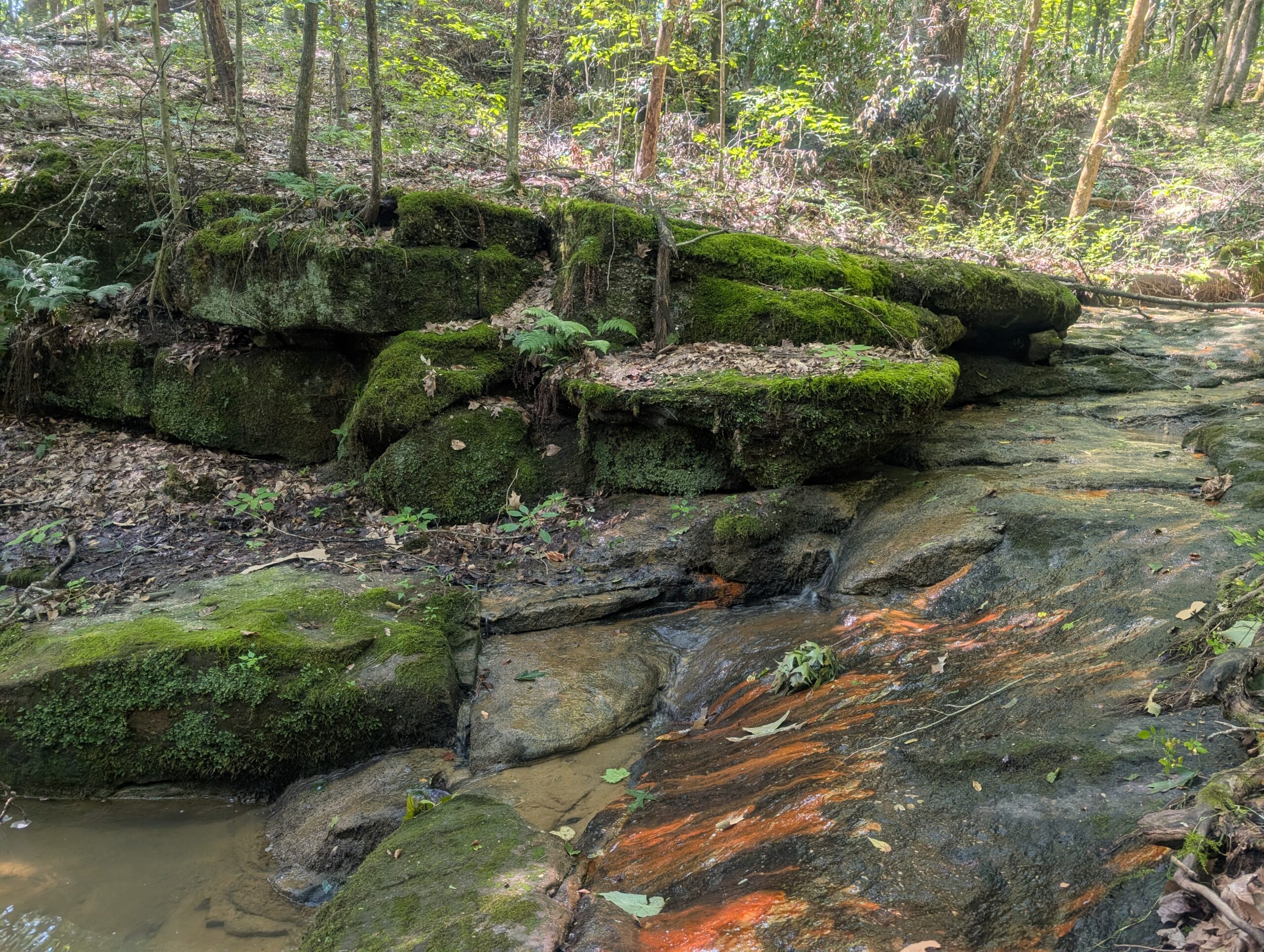 Secluded Central Ohio Hunting and Timber Land
