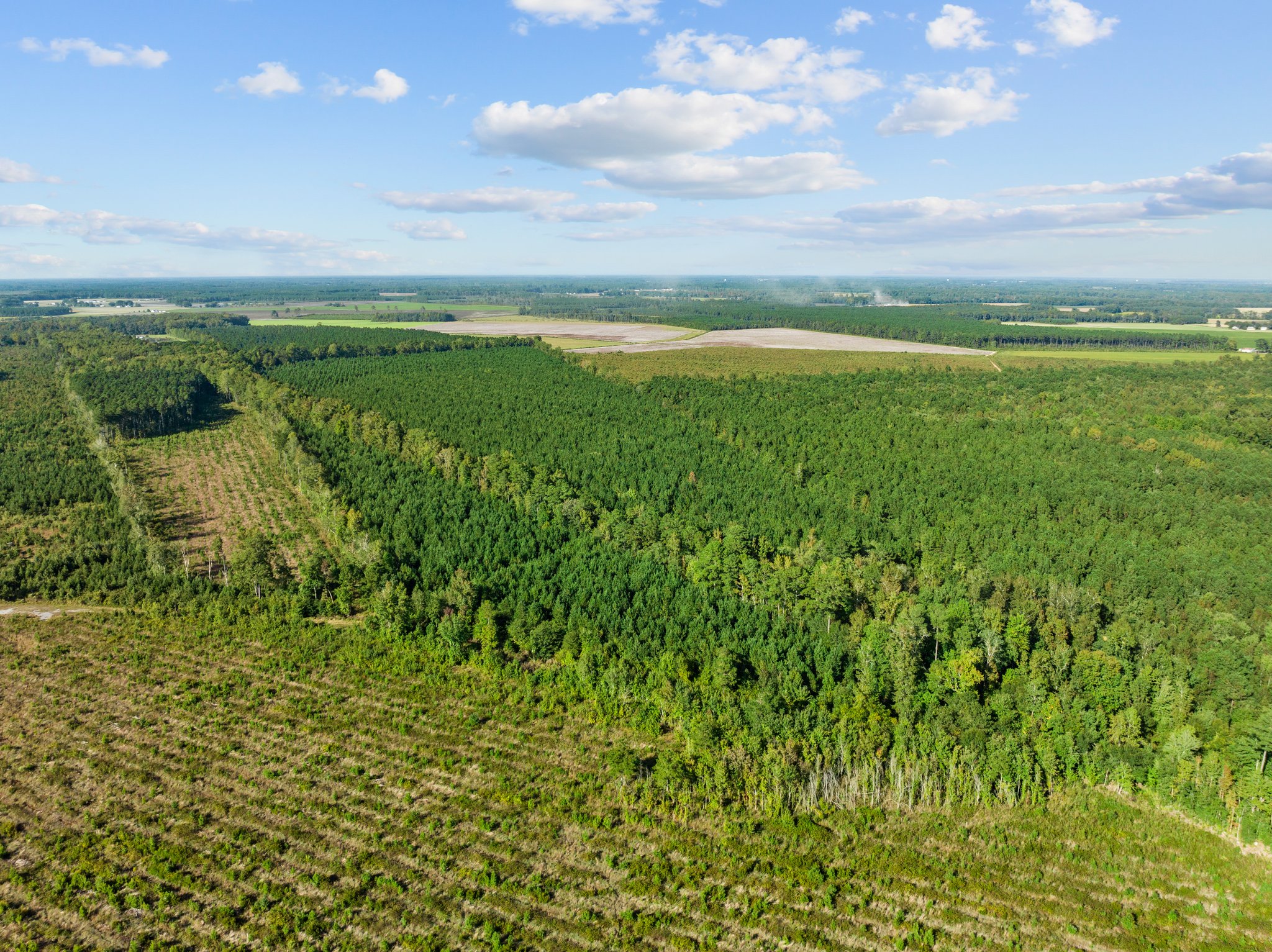 470-AC Prime Hunting Land for Sale in Pitt County, NC