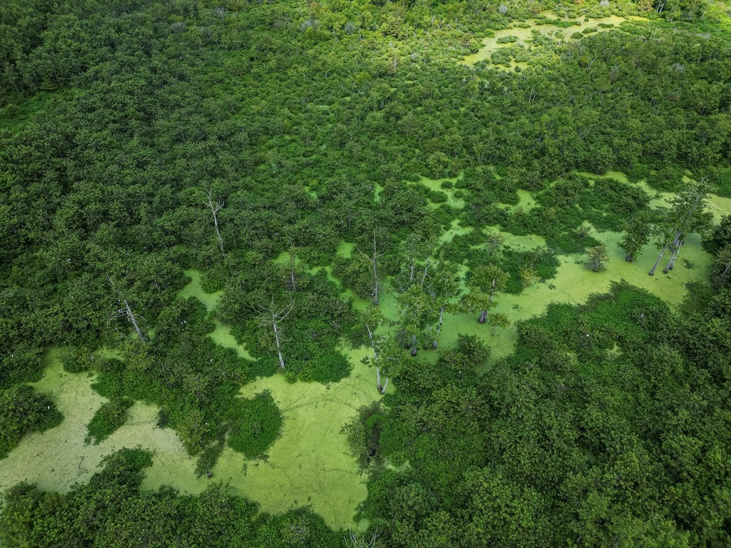 Tchula MS Delta 97 Acres