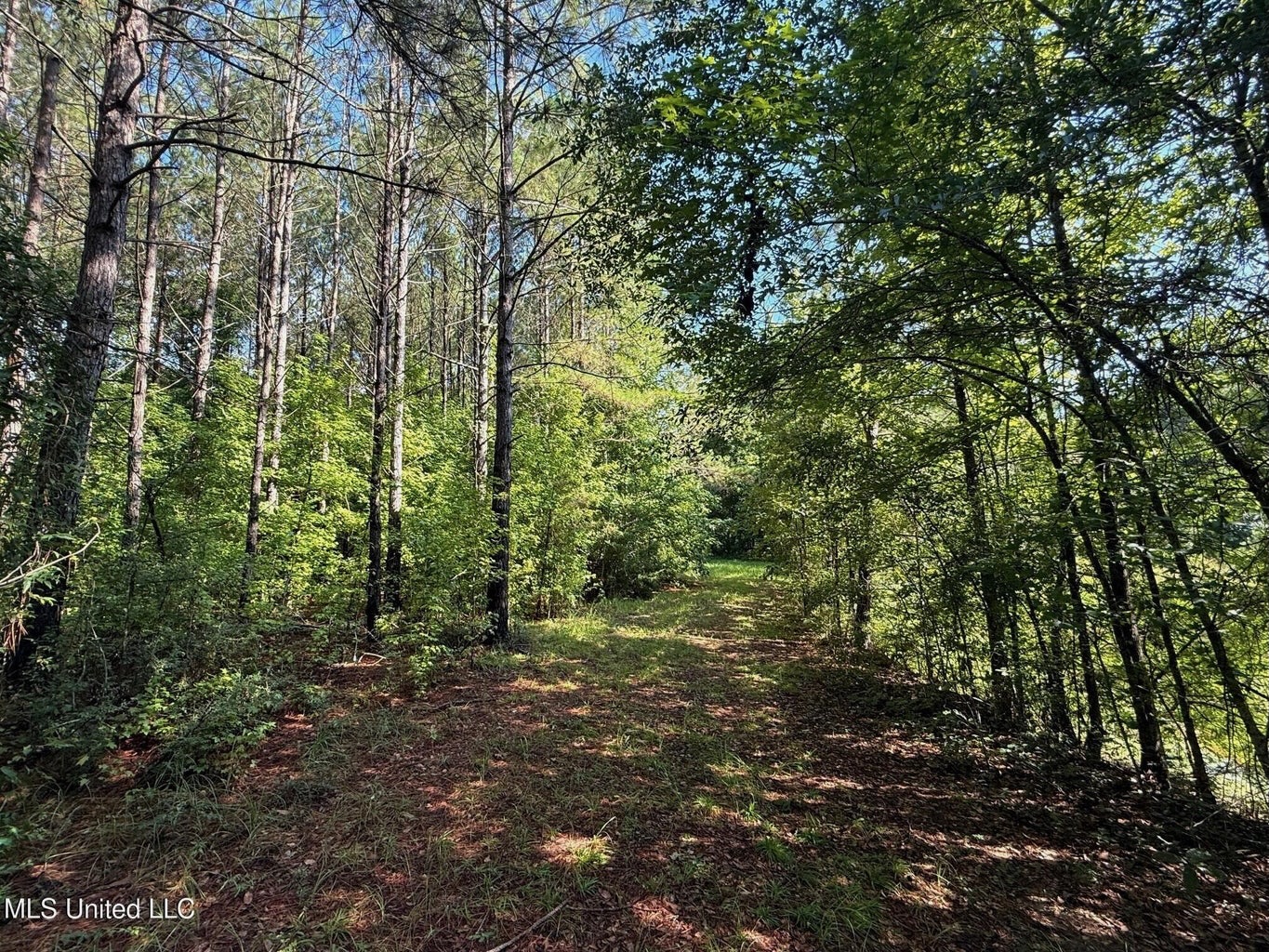 40 Acres with Country Home for Sale in Pike County MS