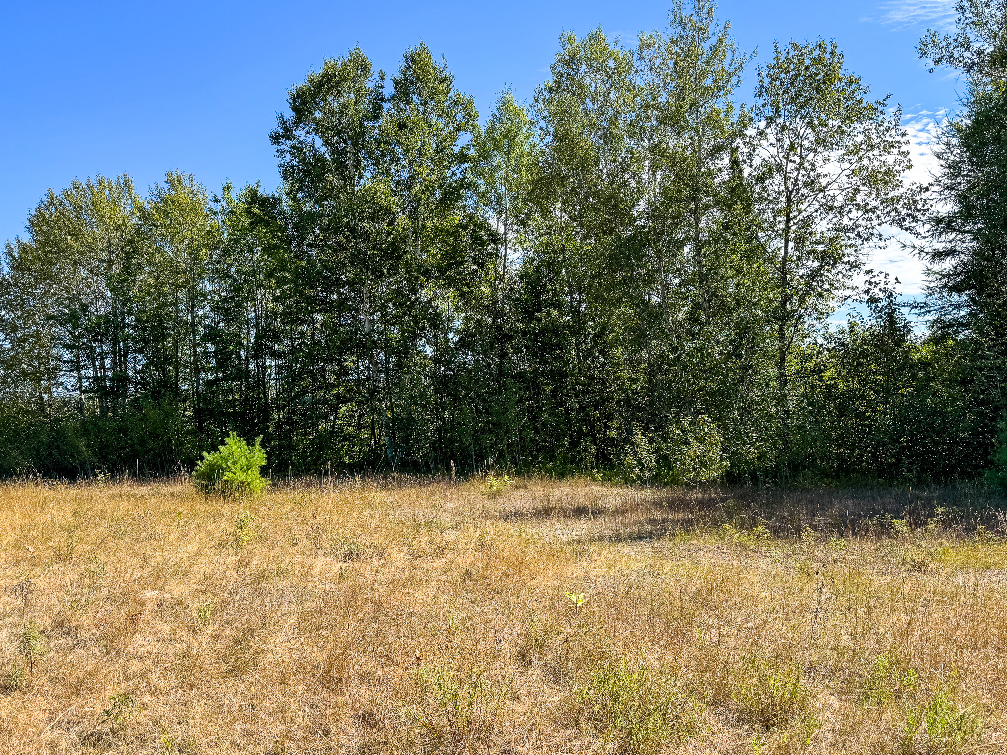 516 Acres Bordering State Wildlife Management Area