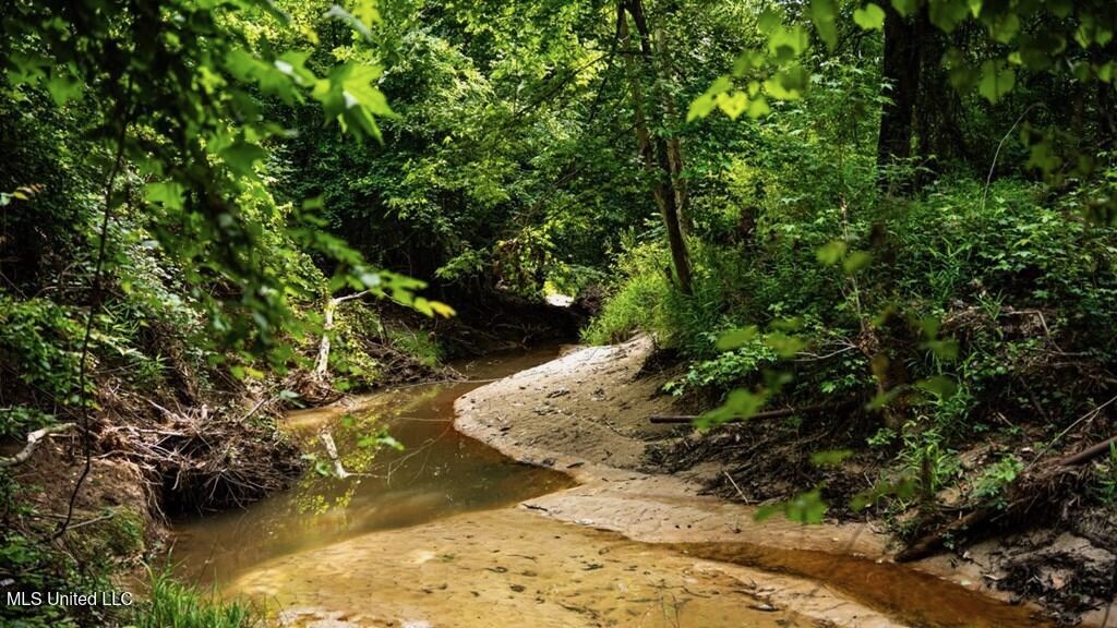 Catahoula Parish 290 Acres Hunting and Income Property
