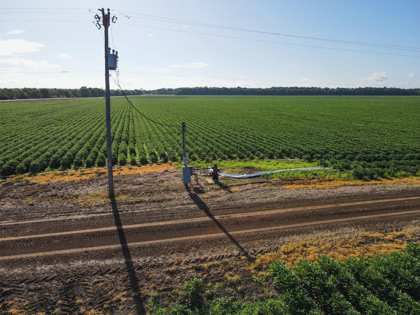 500 +/- Acres Precision Leveled and Irrigated Farmland