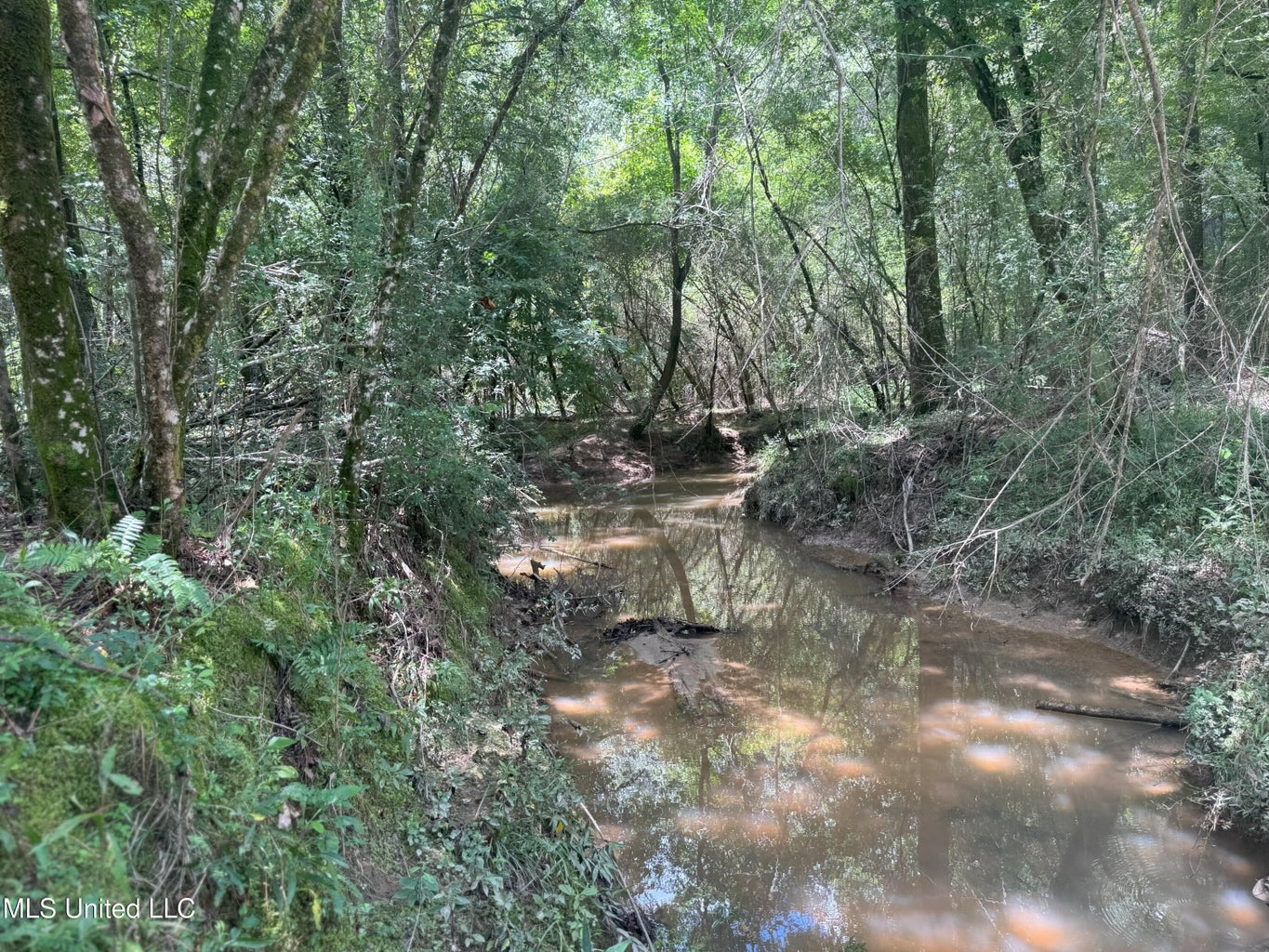 148 Acre Timberland Hunting Homesite Lincoln County, MS