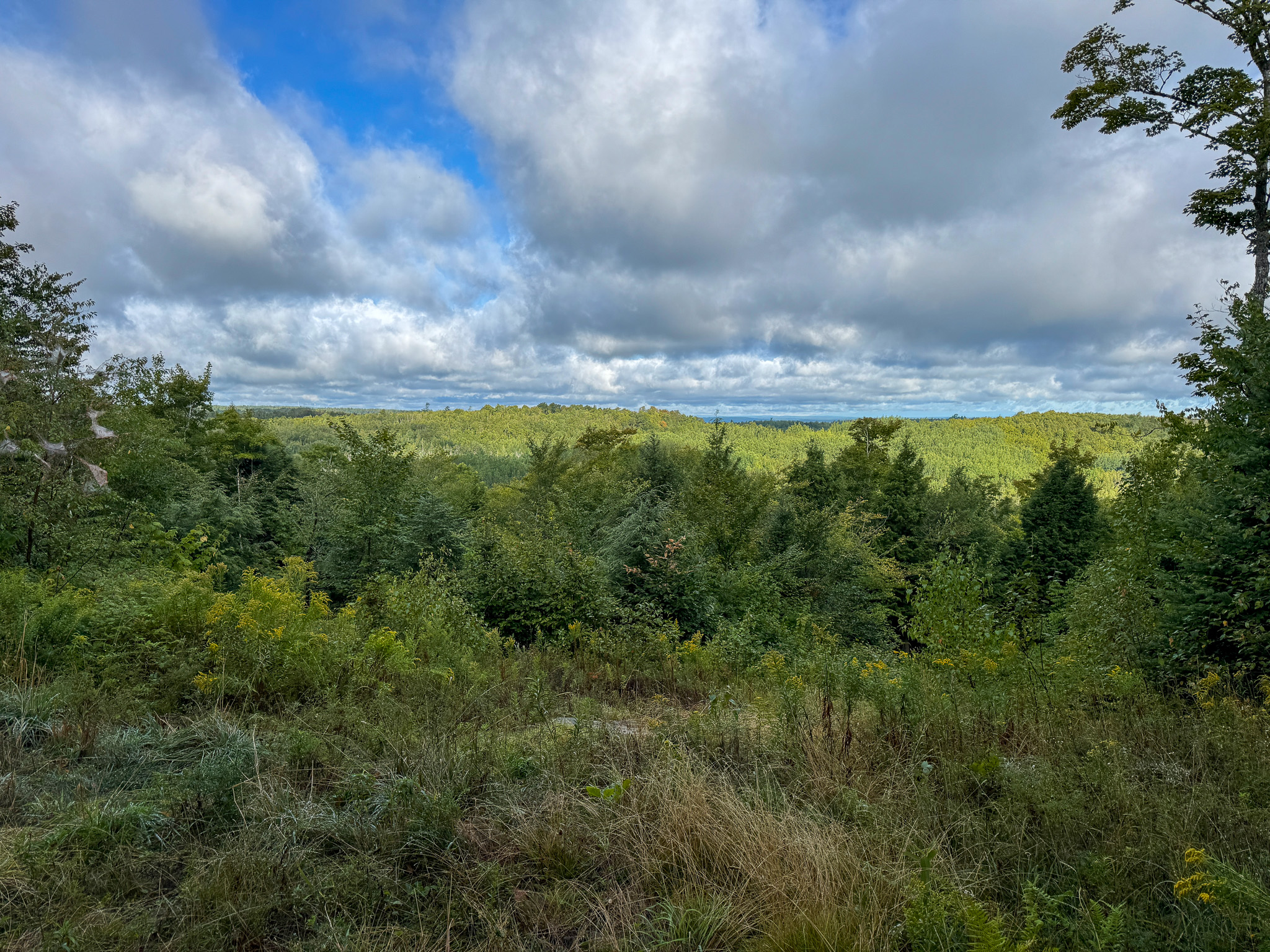 20 Acres with Katahdin Views – Springfield, Maine