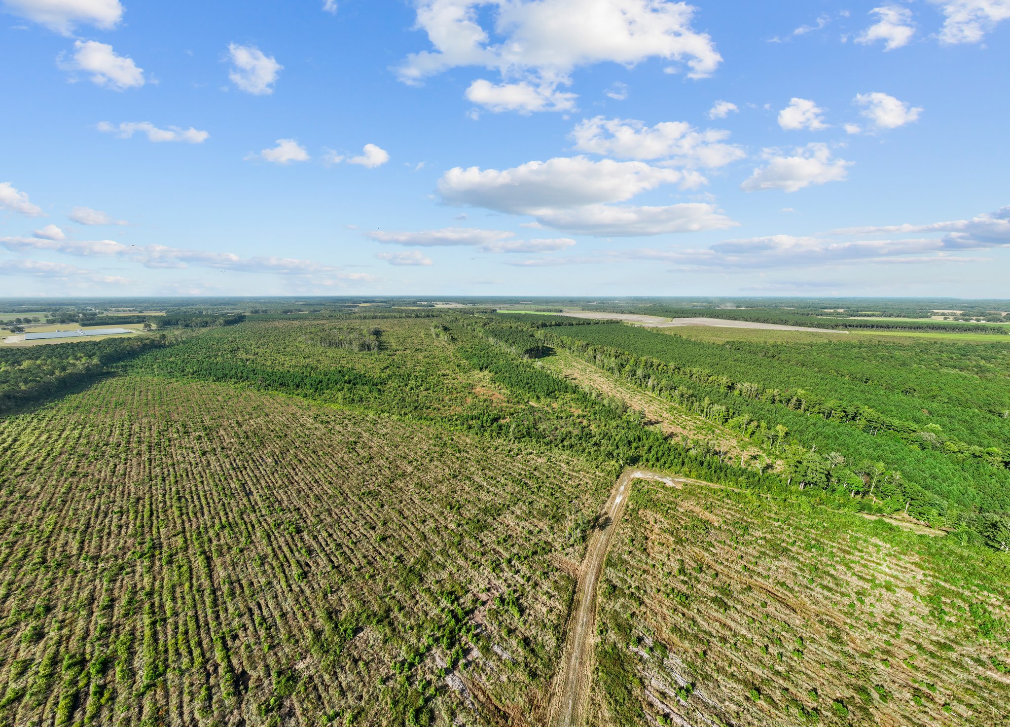470-AC Prime Hunting Land for Sale in Pitt County, NC