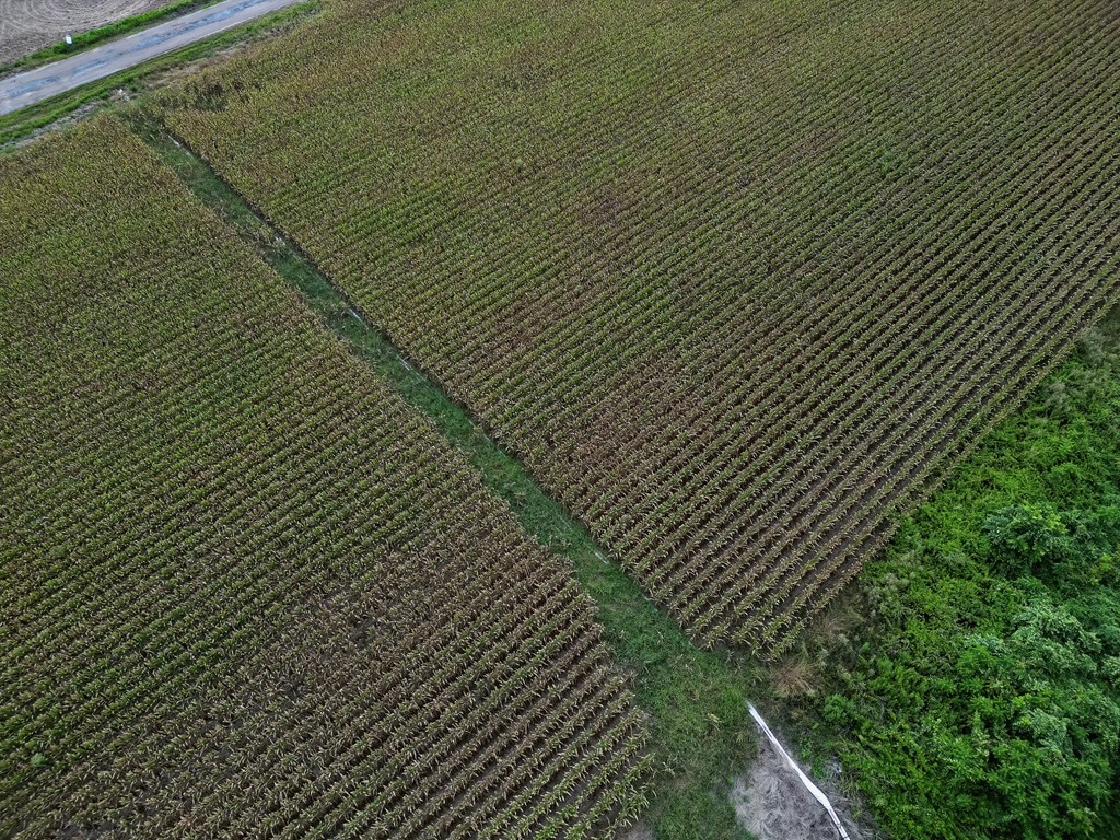 Tchula MS Delta 97 Acres