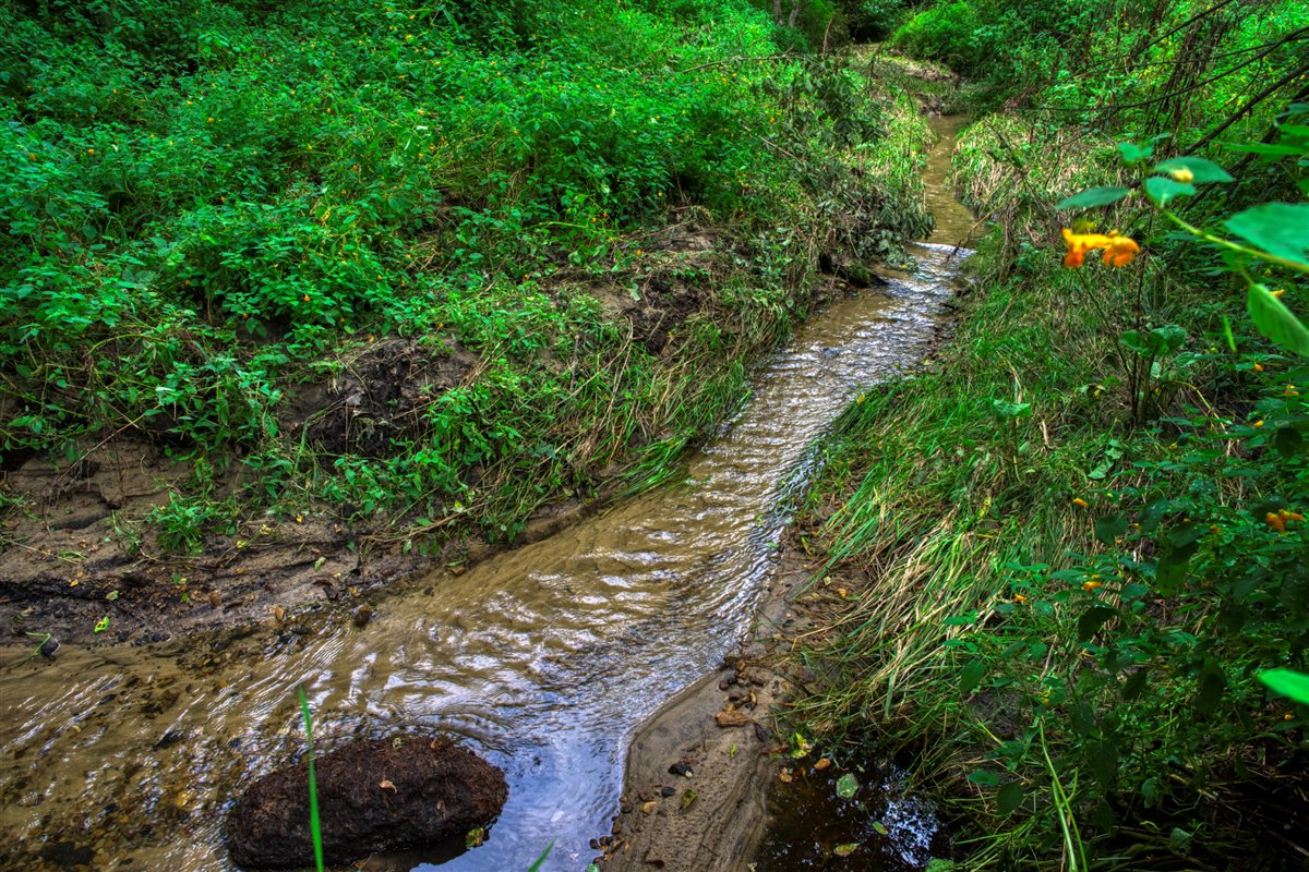 Hunting Property in Trempealeau County, WI