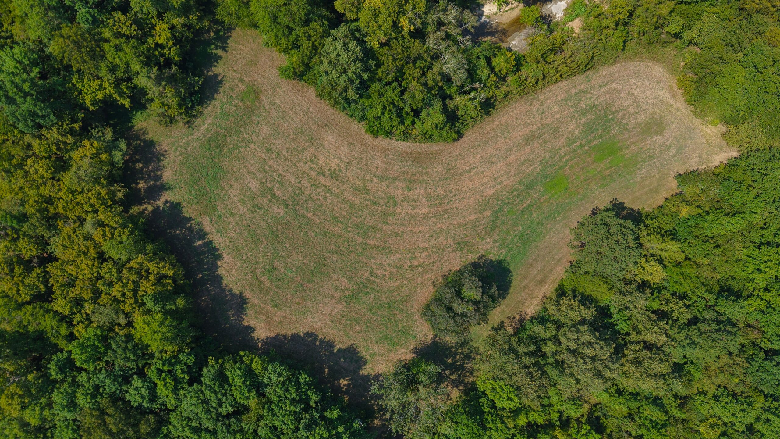 210 Acre Turn-Key Recreational Property for Sale in Dayton, Alabama
