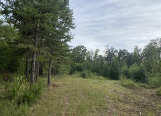 LAND FOR SALE IN TN WITH 2 LARGE PONDS NEAR PICKWICK LAKE