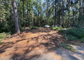 32 +/- Acres Near McComb, MS – Hunting, Timber, Homesite
