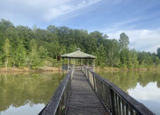 LAND FOR SALE IN TN WITH 2 LARGE PONDS NEAR PICKWICK LAKE