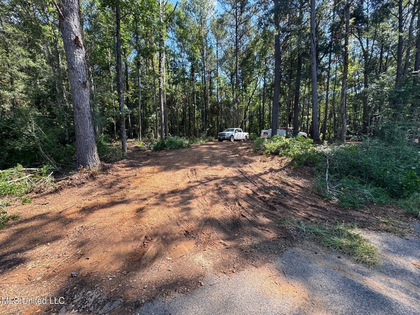 32 +/- Acres Near McComb, MS – Hunting, Timber, Homesite