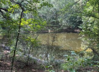 38 acres in Mississippi Near Louisiana State Line