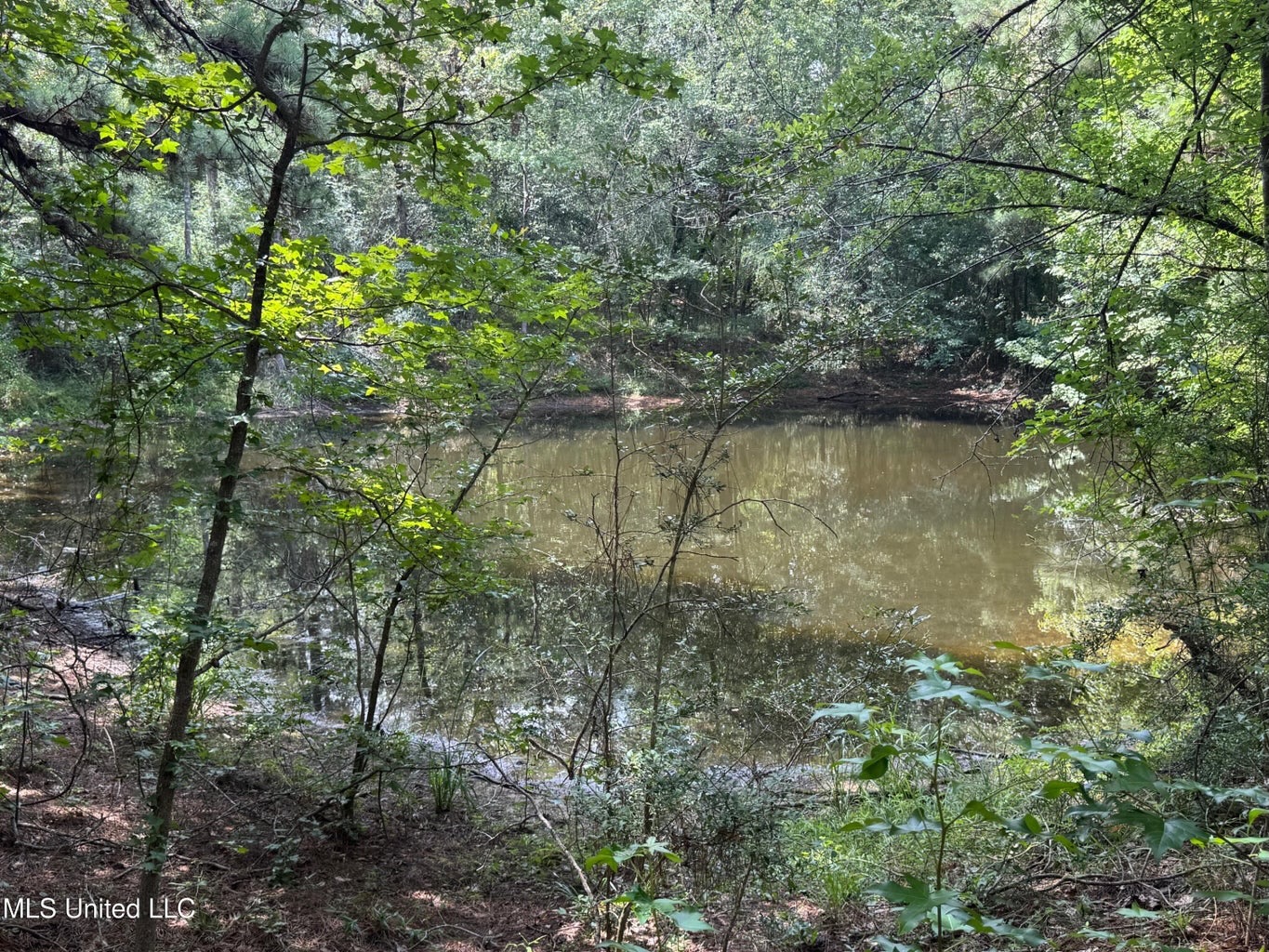 38 acres in Mississippi Near Louisiana State Line