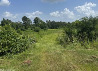 Mississippi Land for Sale Near Osyka MS & LA State Line