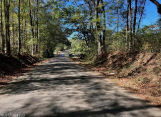 51.52 Acres Land for Sale Near McComb MS