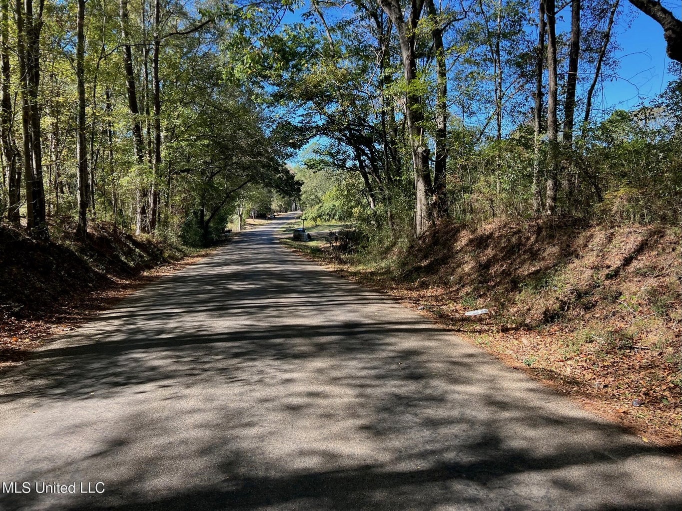 51.52 Acres Land for Sale Near McComb MS