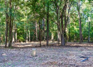 Affordable Multi-Use Recreational Tract
