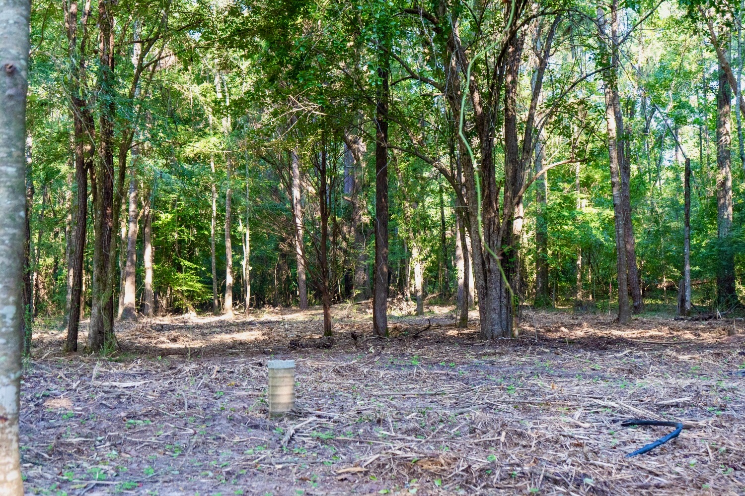 Affordable Multi-Use Recreational Tract