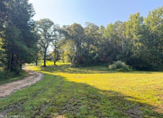 40 Acres with Country Home for Sale in Pike County MS