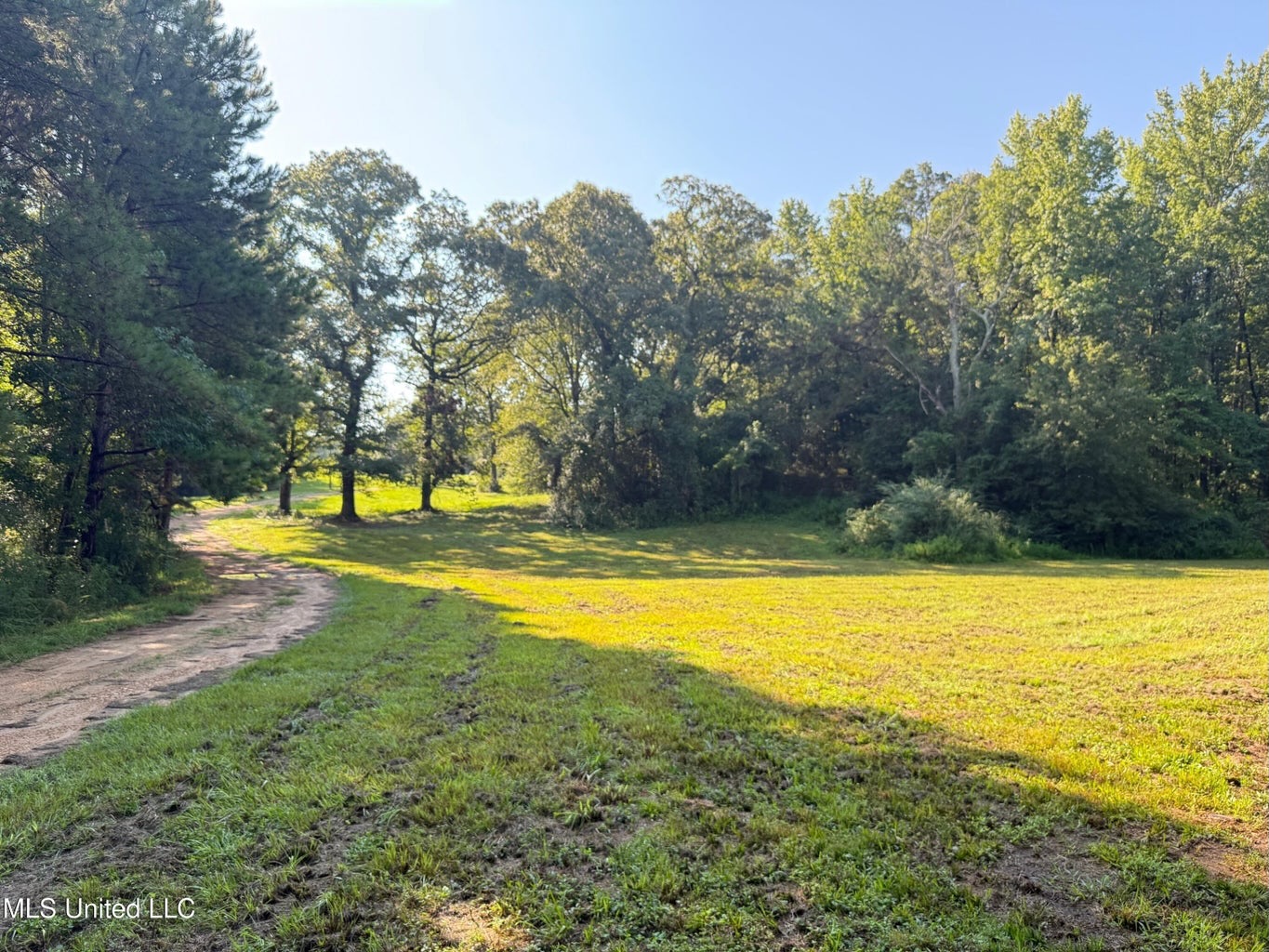 40 Acres with Country Home for Sale in Pike County MS