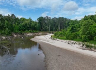 345+- Acres on Bogue Chitto River Summit MS