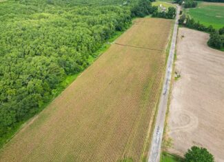 Tchula MS Delta 97 Acres