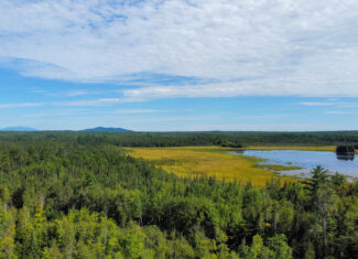 516 Acres Bordering State Wildlife Management Area