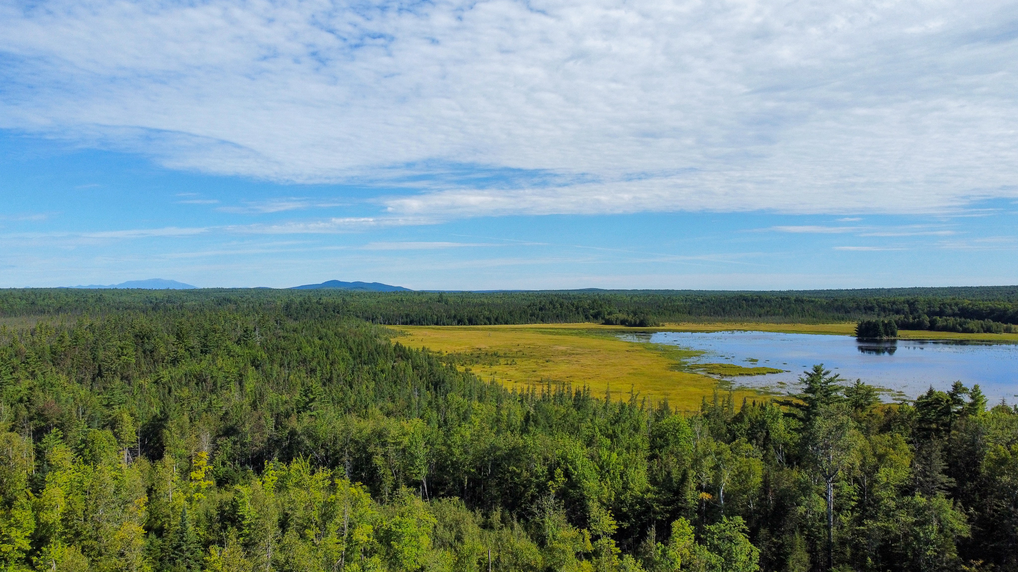 516 Acres Bordering State Wildlife Management Area