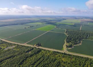 500 +/- Acres Precision Leveled and Irrigated Farmland