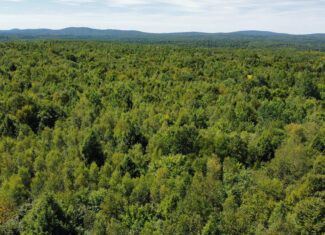 Private 25-Acre Woodlot with Trails & Recreation Access