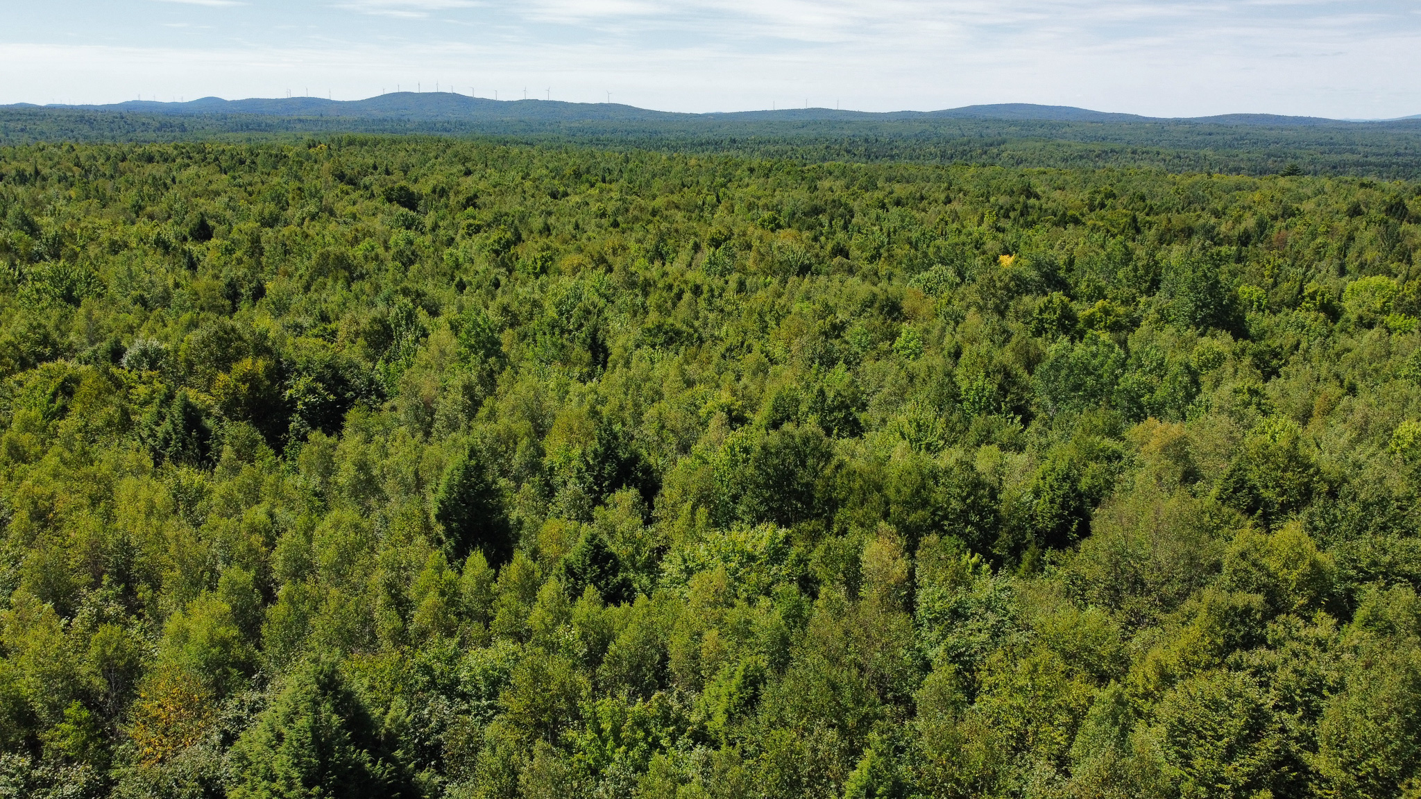 Private 25-Acre Woodlot with Trails & Recreation Access