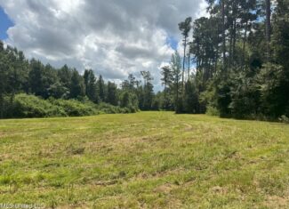 148 Acre Timberland Hunting Homesite Lincoln County, MS