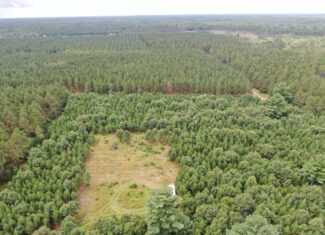 22.35+/- Wooded Acres in Adams County’s Town of Big Flats