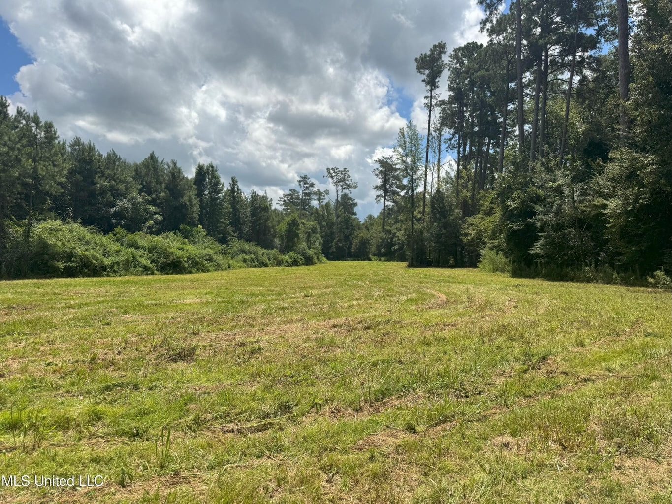 148 Acre Timberland Hunting Homesite Lincoln County, MS