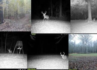 Rodney MS Hunting Land with Tiny Home & Lodge Potential