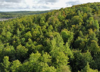 20 Acres with Katahdin Views – Springfield, Maine