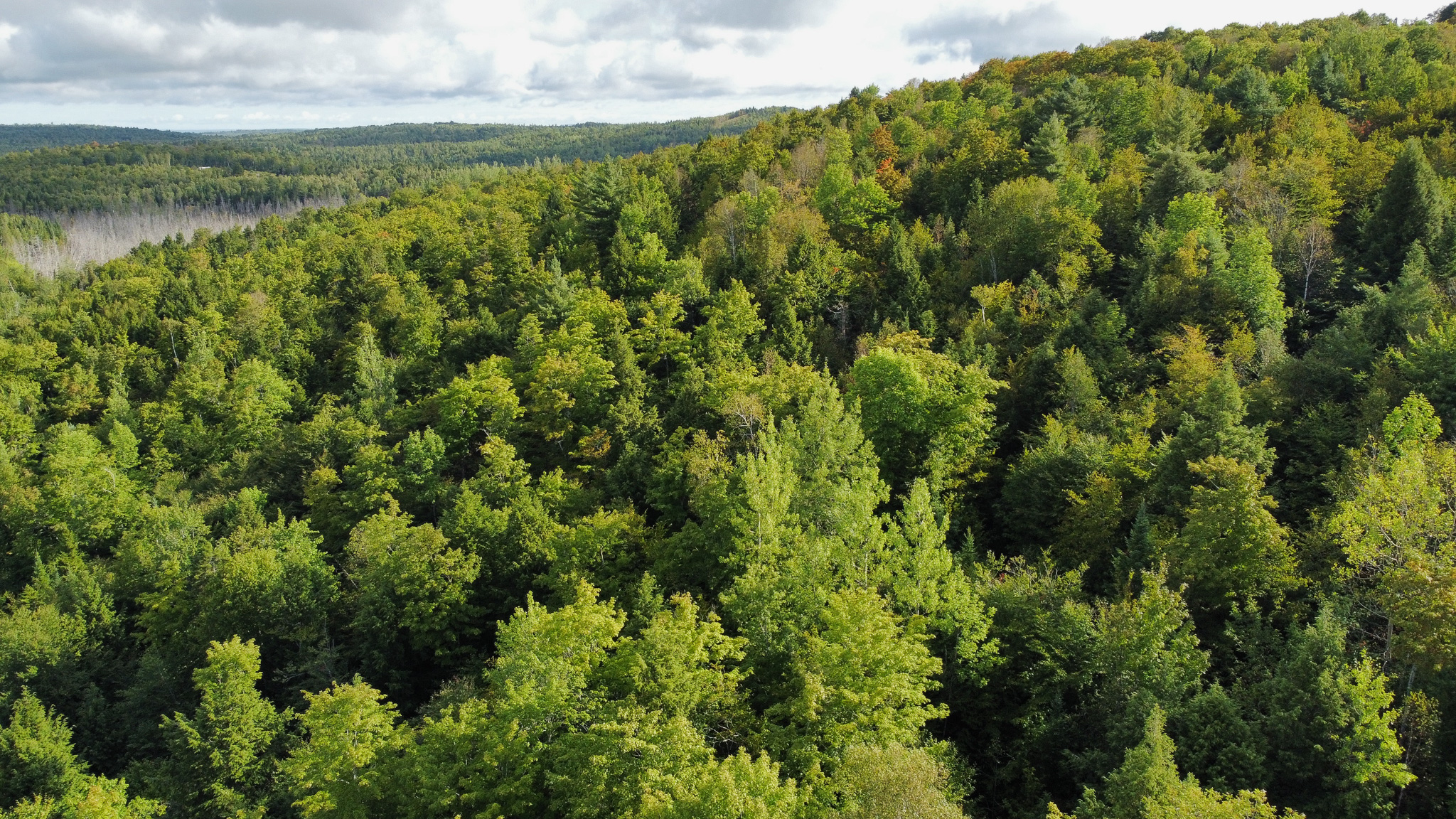 20 Acres with Katahdin Views – Springfield, Maine