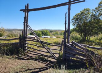 Western Colorado Ranch with Cabins, Ponds, Springs For Sale