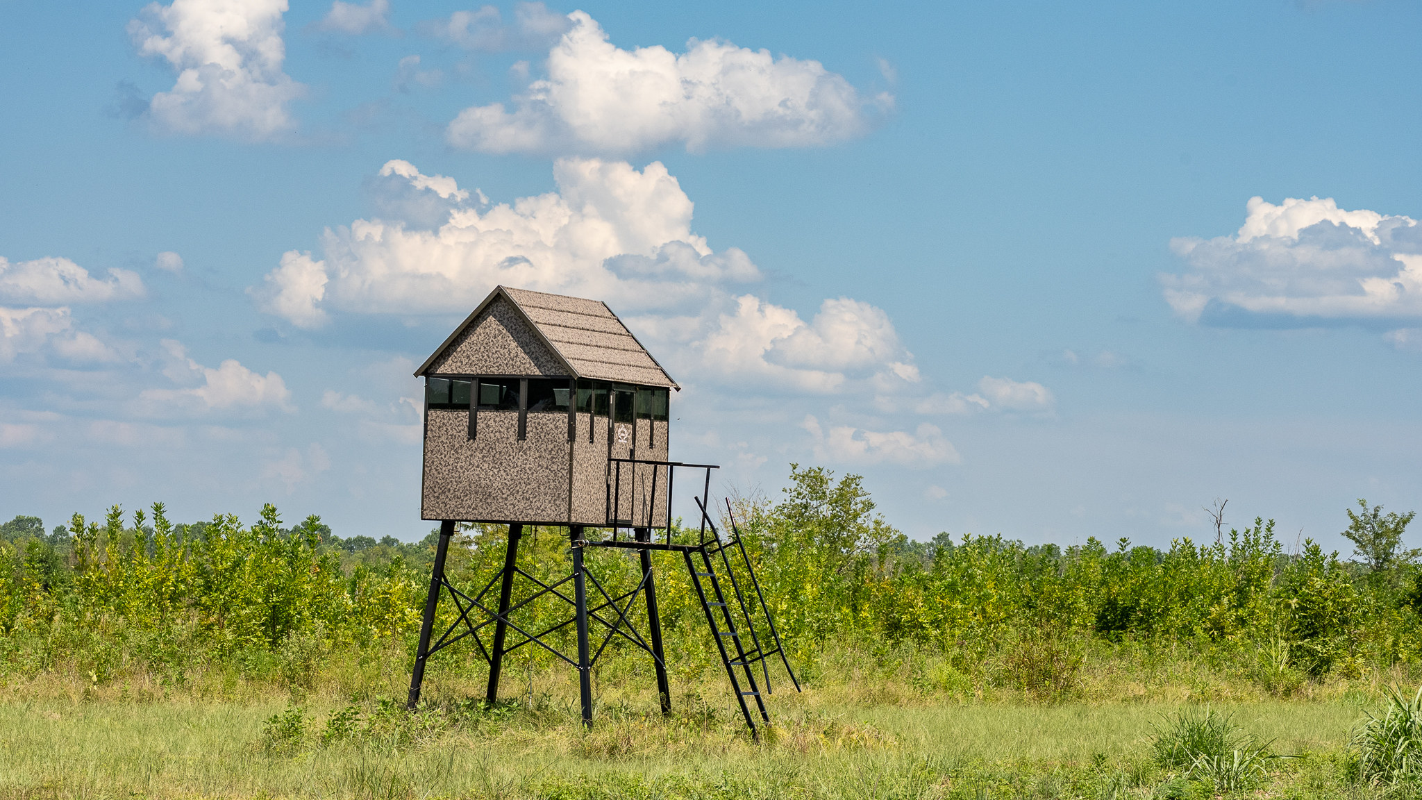 Premier Dekalb Texas Hunting Property with Red River Frontage