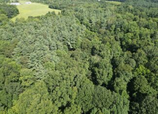 Secluded Central Ohio Hunting and Timber Land